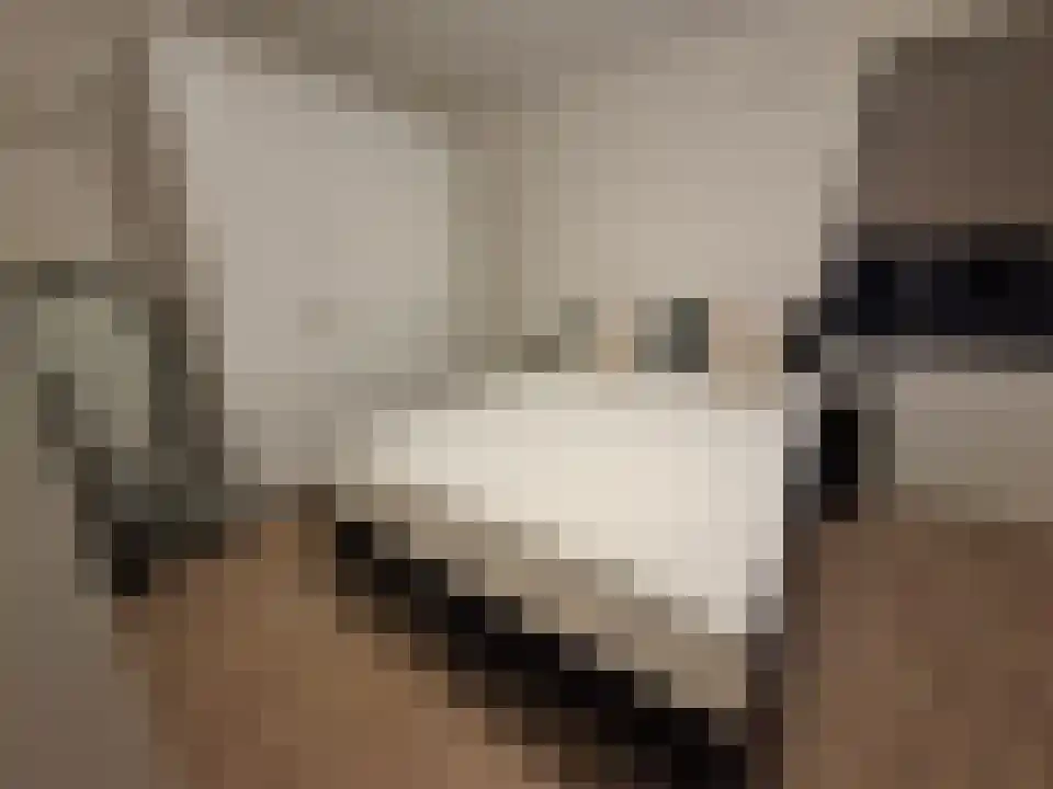 Abdijlaan 44 Uden thumbnail 5