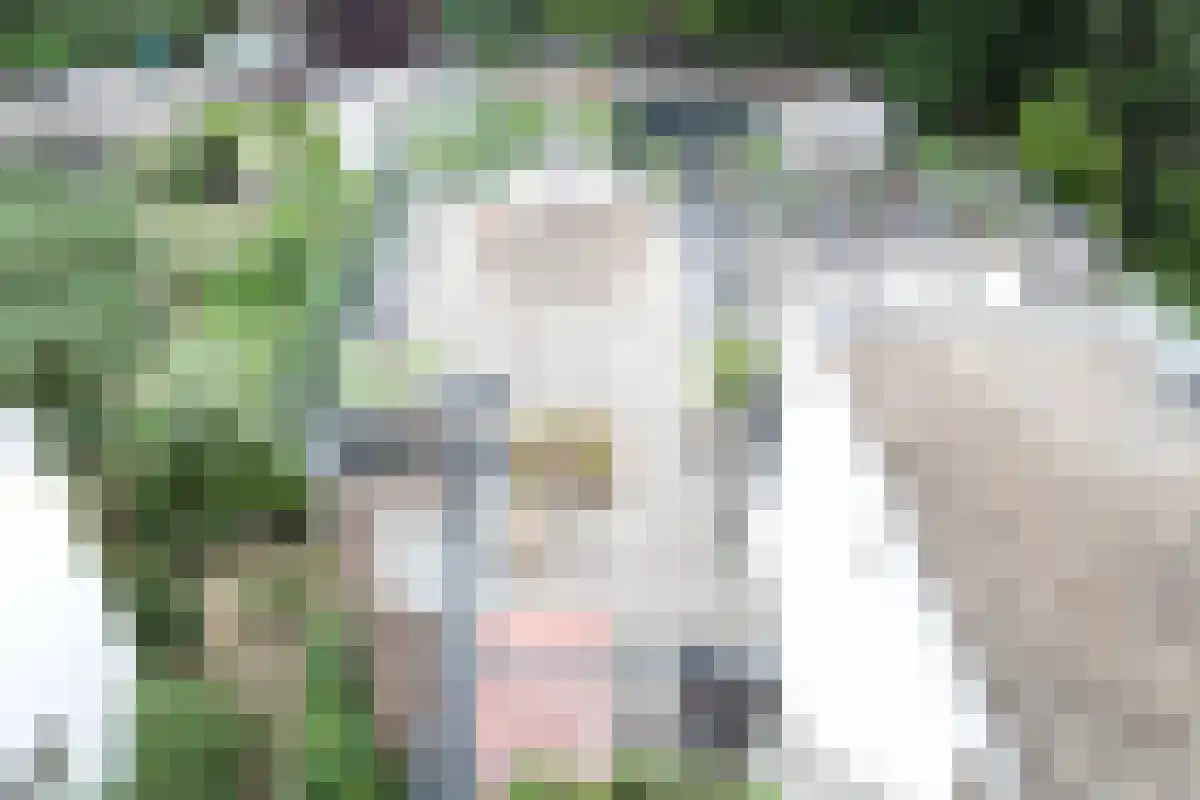 Abdijlaan 445 Uden thumbnail 4