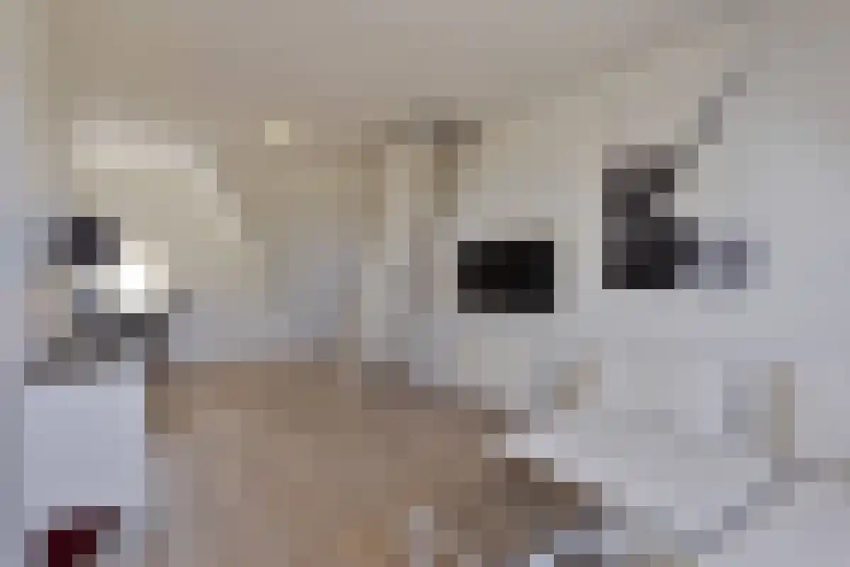 Abdijlaan 447 Uden thumbnail 5