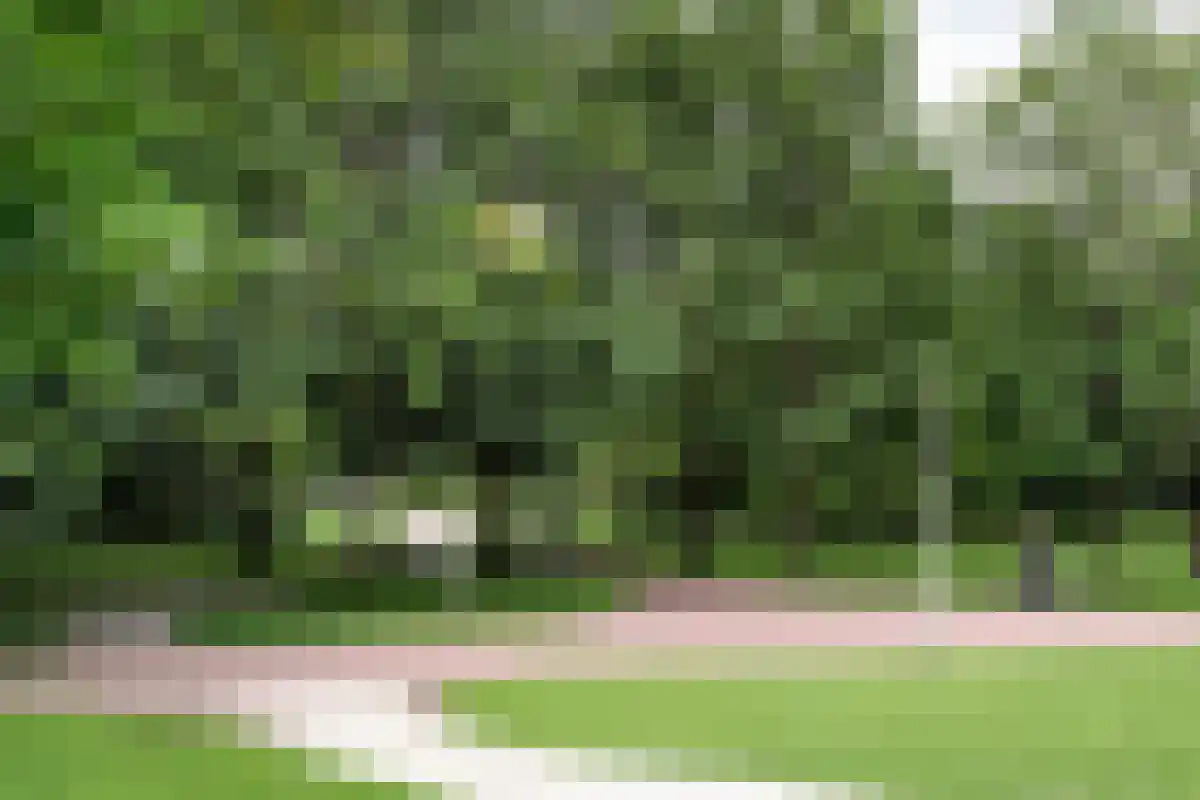 Abdijlaan 448 Uden thumbnail 4