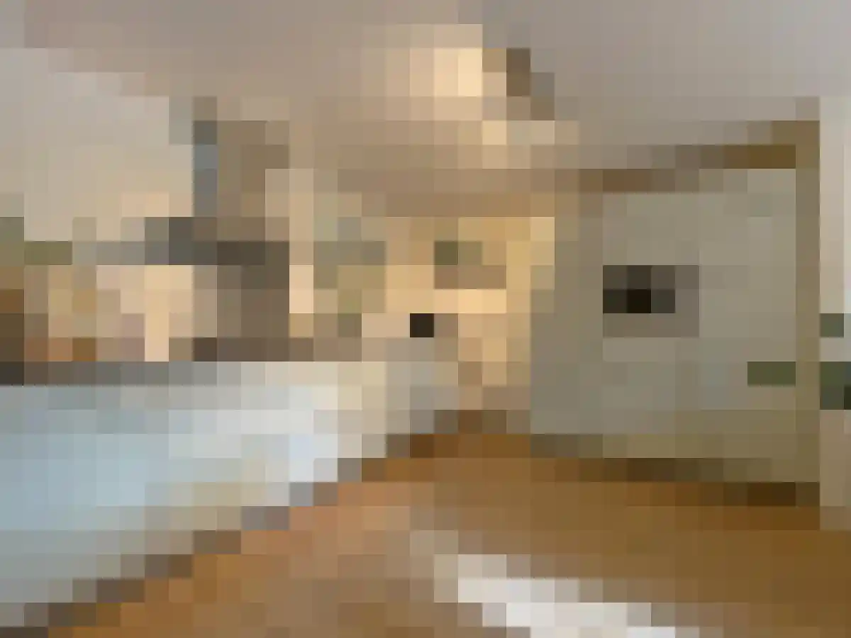 Abdijlaan 45 Uden foto 3