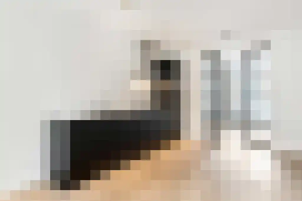 Abdijlaan 45 Uden thumbnail 5