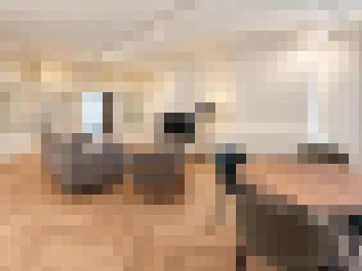 Abdijlaan 458 Uden foto 3