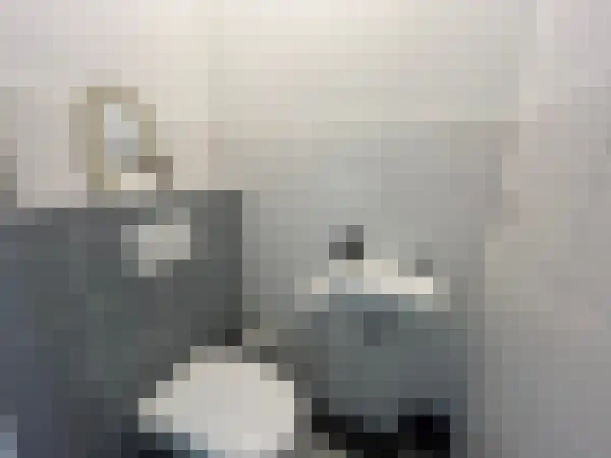 Abdijlaan 46 Uden thumbnail 4