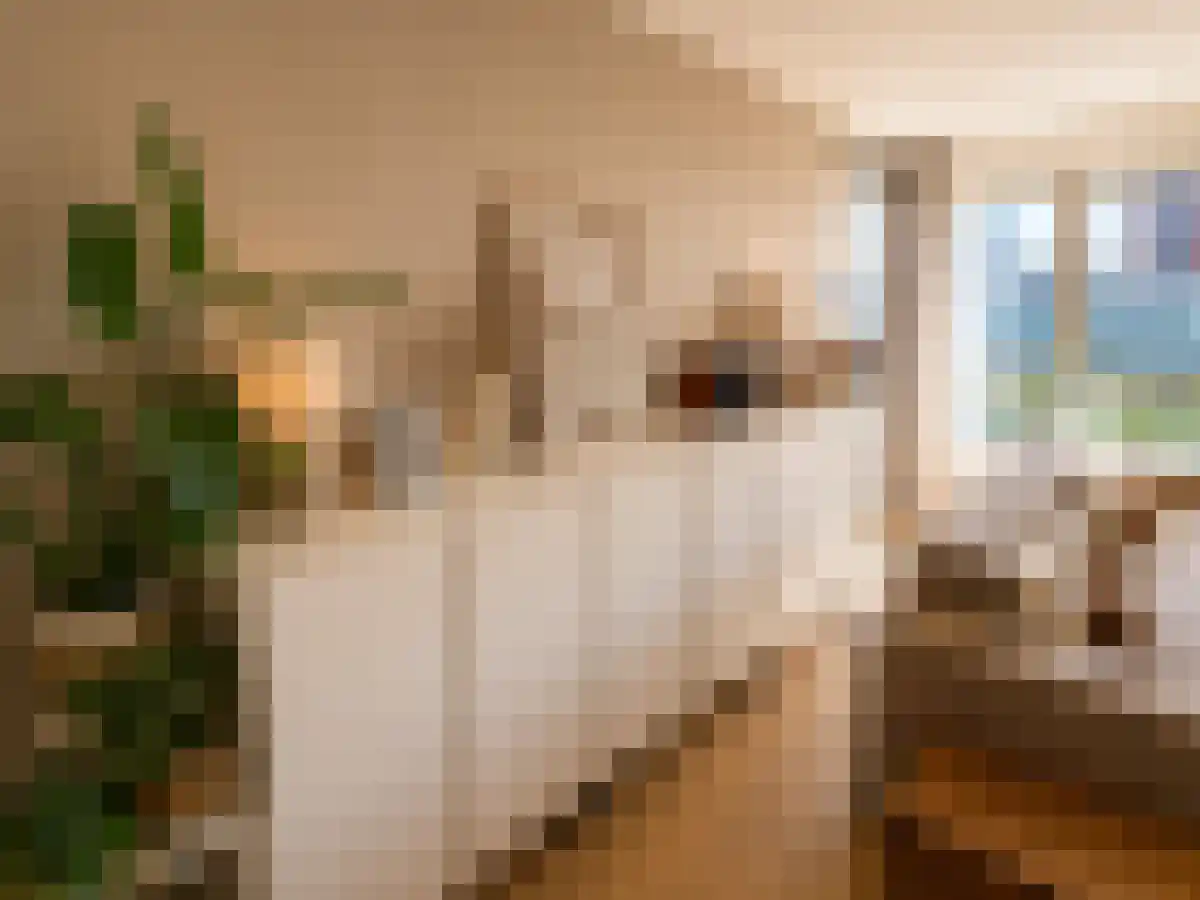 Abdijlaan 46 Uden thumbnail 4