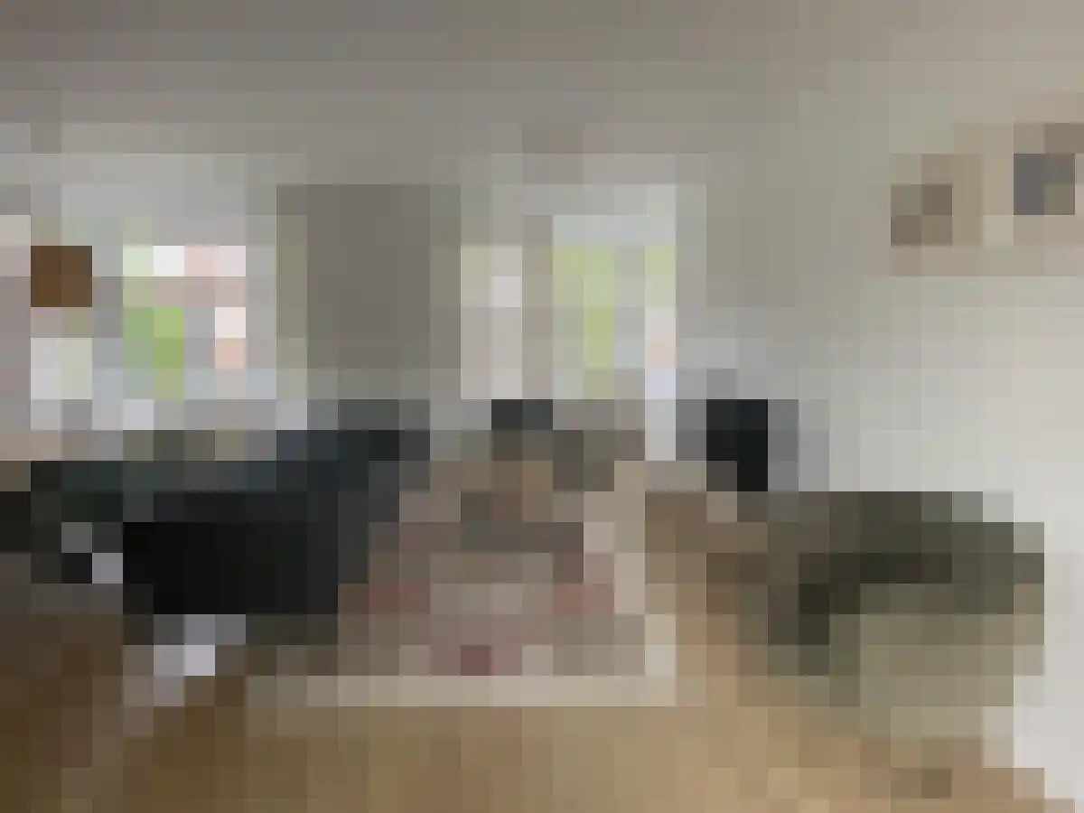 Abdijlaan 46 Uden thumbnail 5