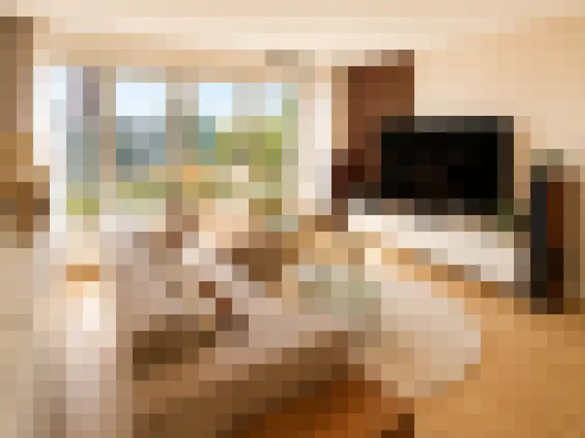 Abdijlaan 46 Uden thumbnail 5