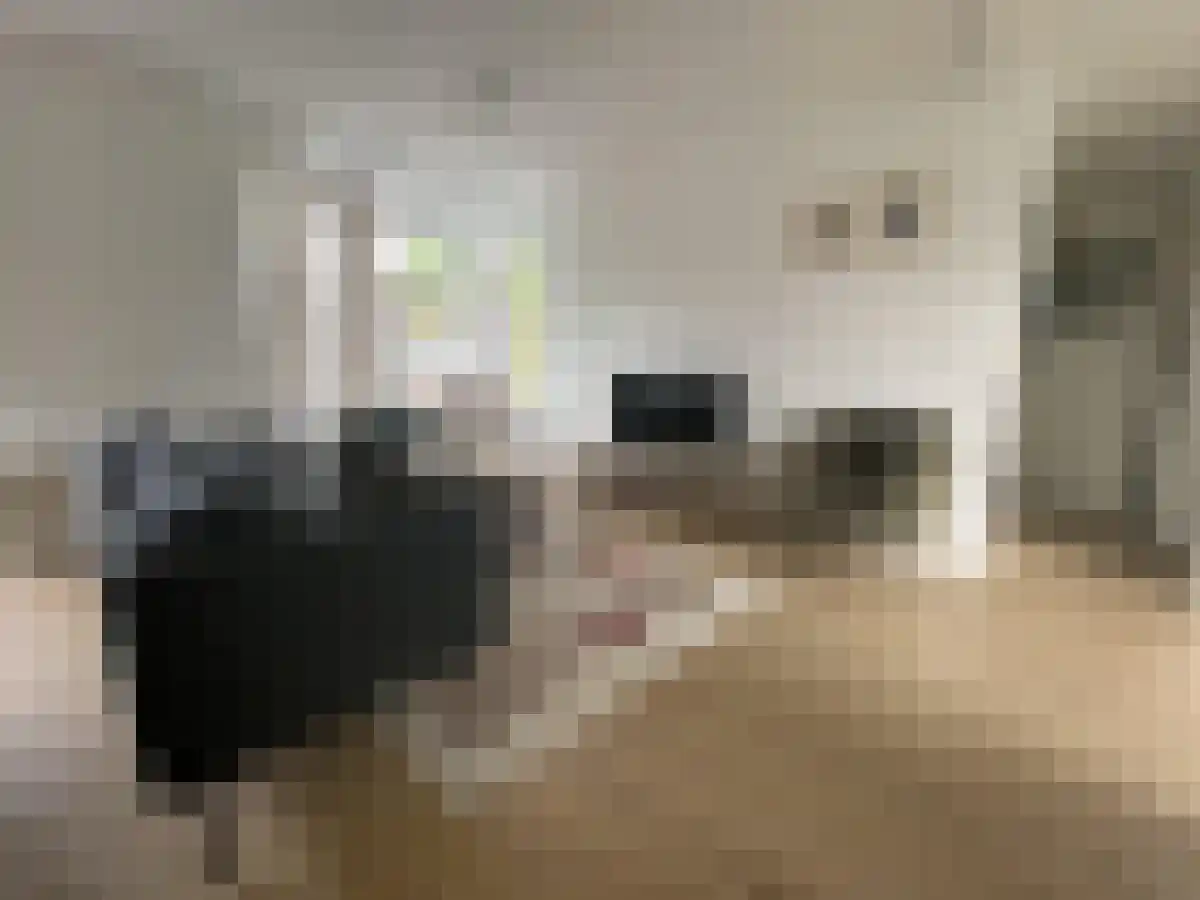 Abdijlaan 46 Uden thumbnail 6