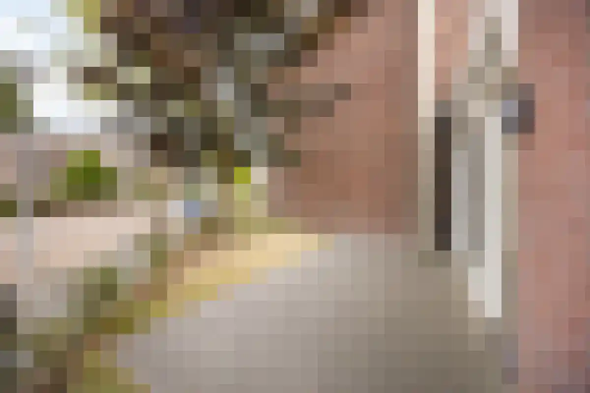 Abdijlaan 47 Uden thumbnail 4