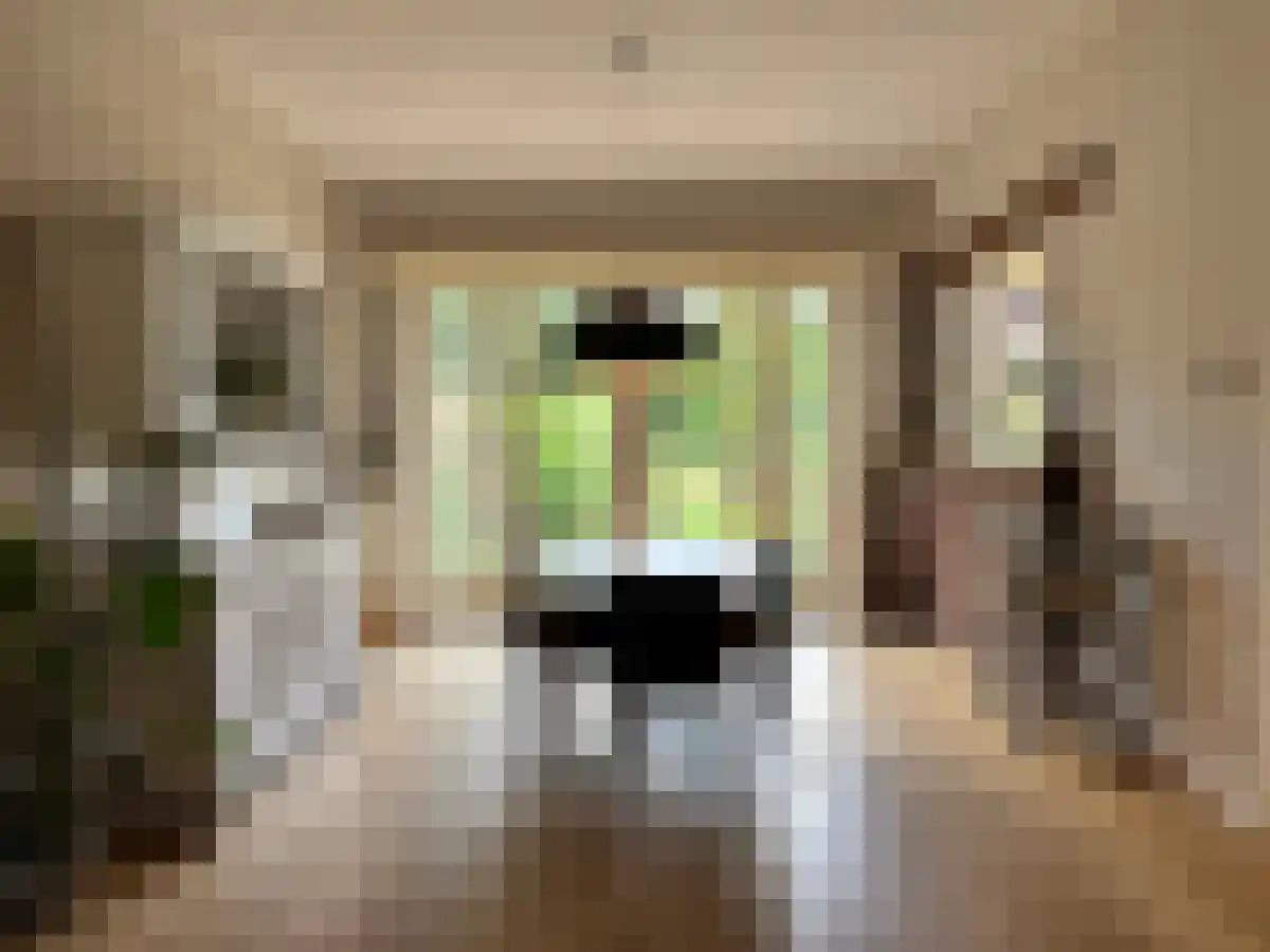 Abdijlaan 47 Uden thumbnail 4