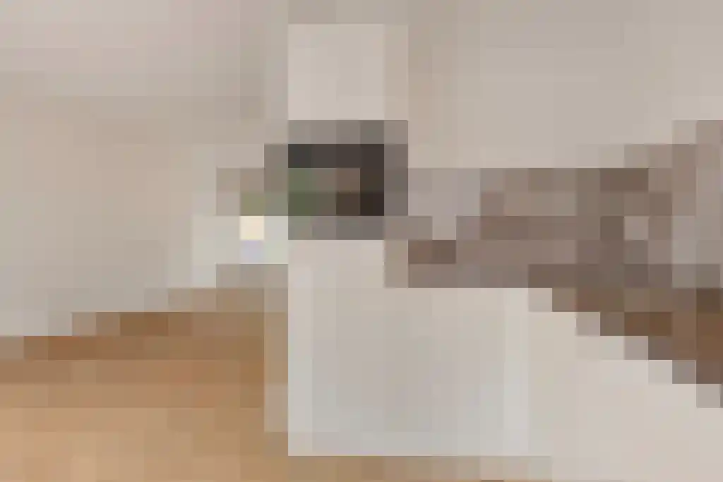 Abdijlaan 47 Uden thumbnail 5