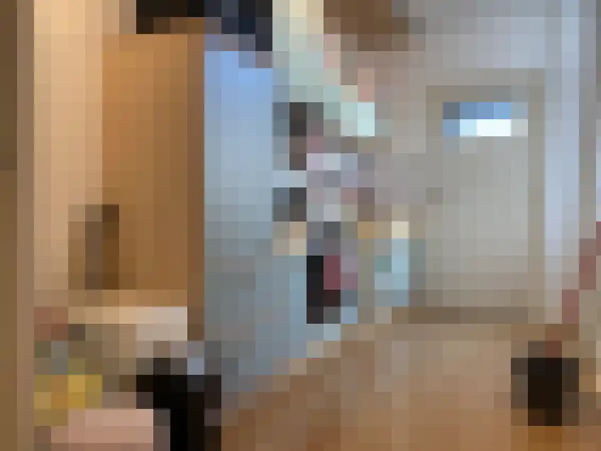 Abdijlaan 47 Uden thumbnail 6