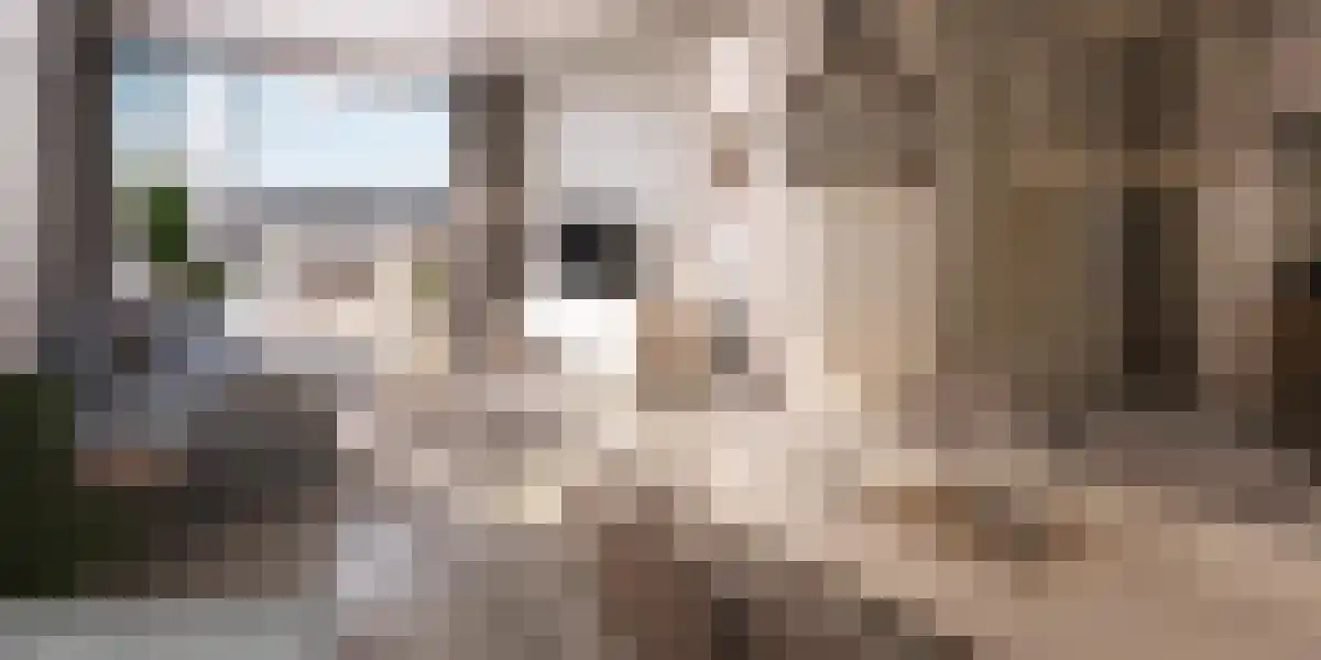 Abdijlaan 48 D Uden thumbnail 6