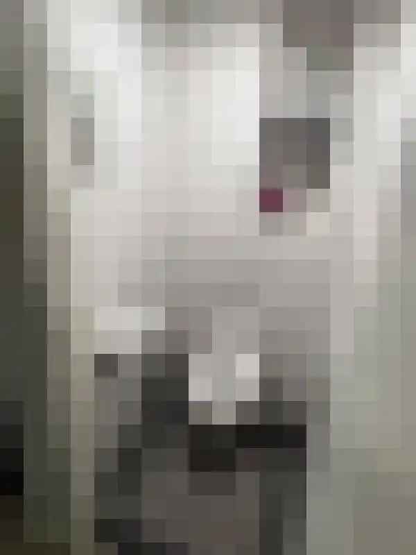 Abdijlaan 48 Uden thumbnail 4