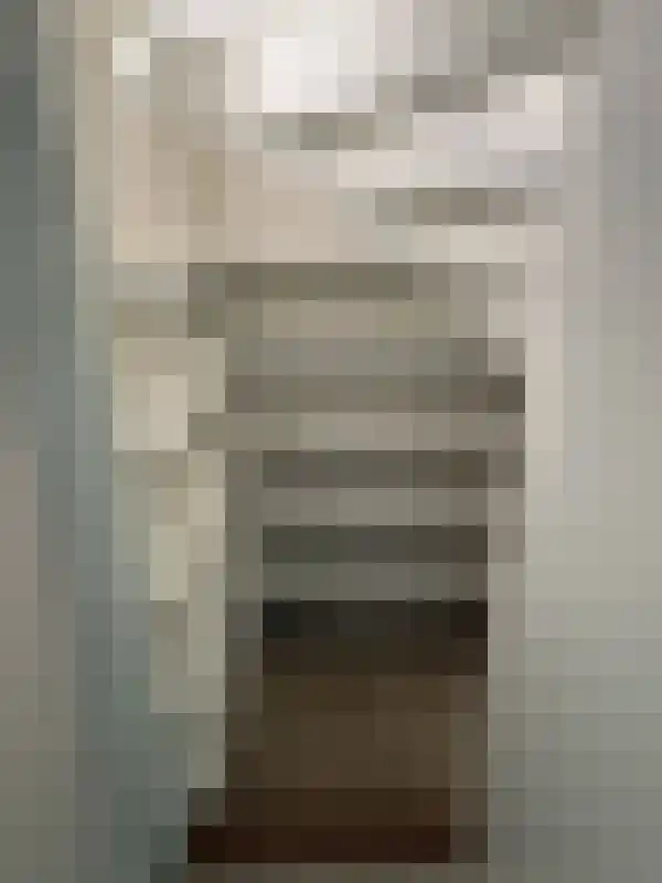 Abdijlaan 48 Uden thumbnail 5