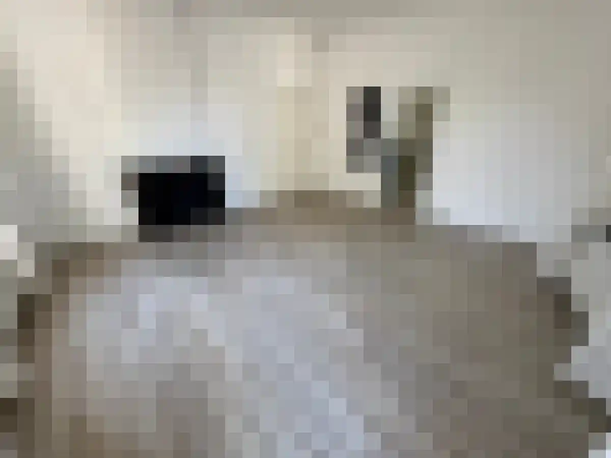 Abdijlaan 48 Uden thumbnail 5