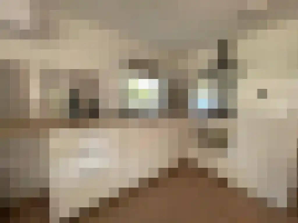 Abdijlaan 48 Uden thumbnail 6