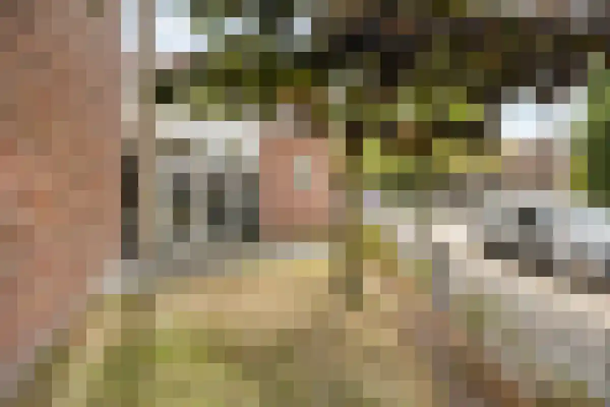 Abdijlaan 49 Uden thumbnail 4
