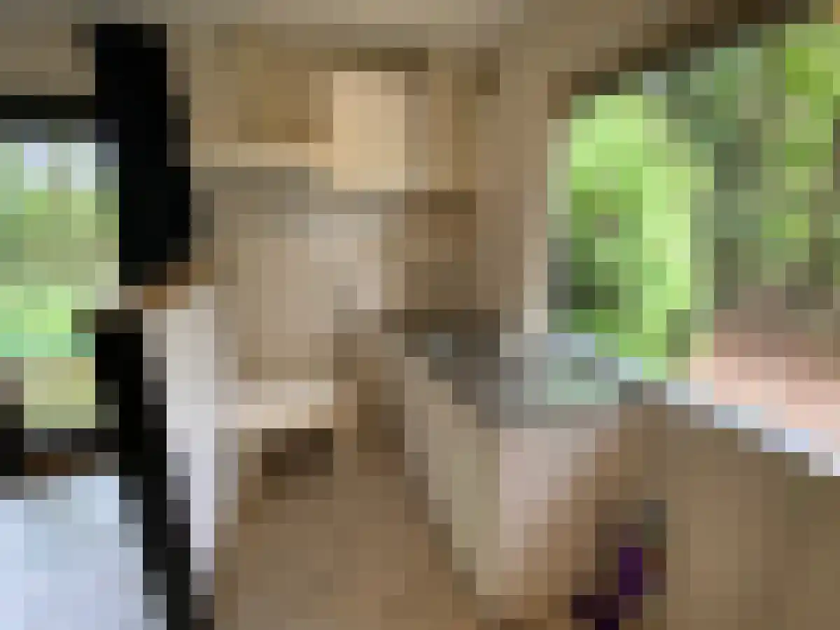 Abdijlaan 49 Uden thumbnail 5