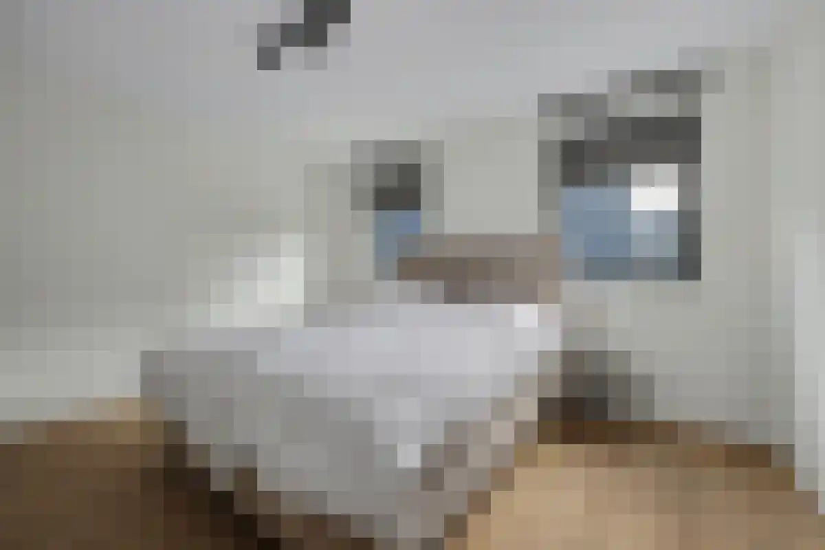 Abdijlaan 5 b Uden thumbnail 5