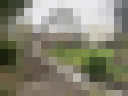 Abdijlaan 5 Uden