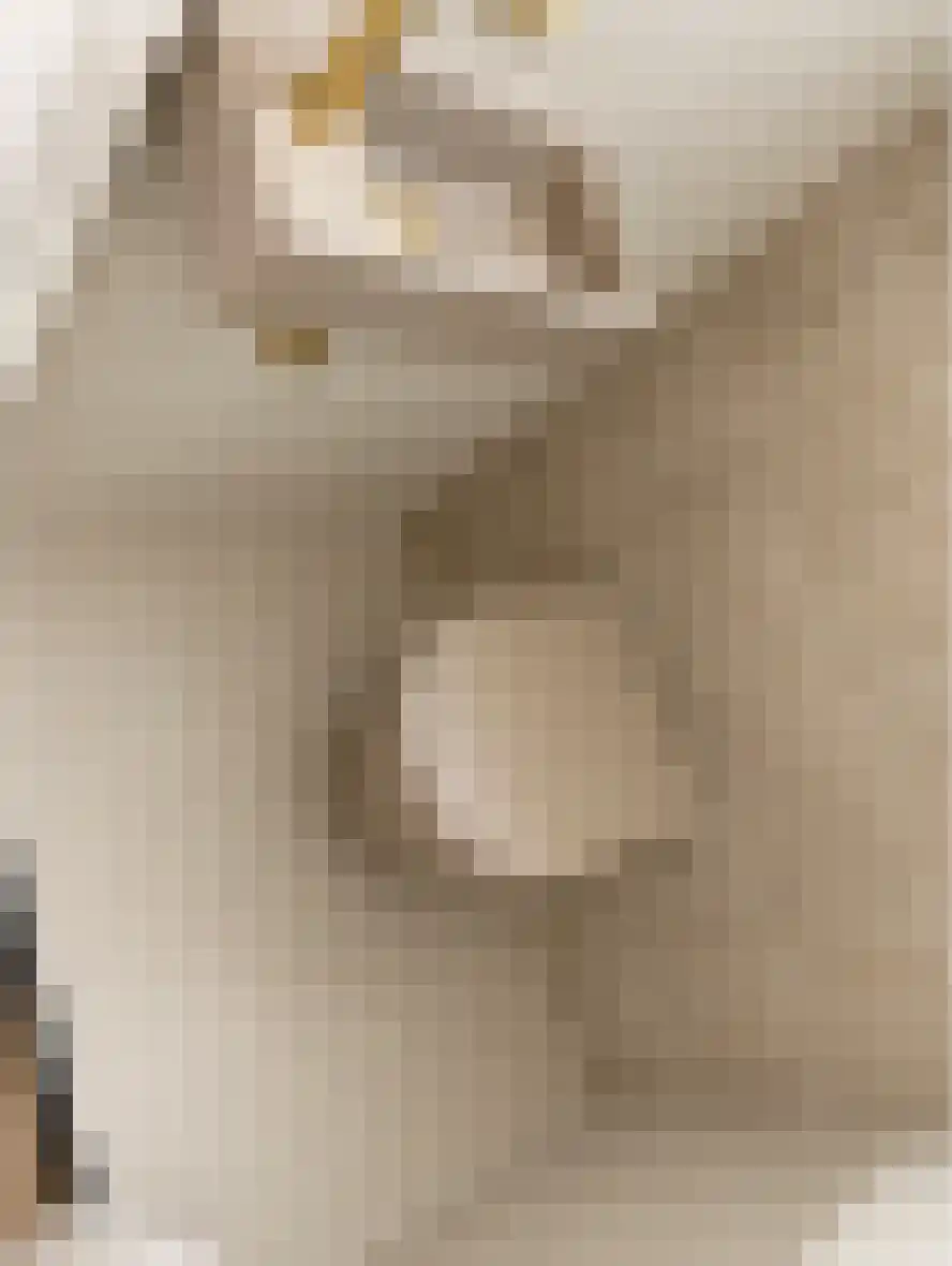 Abdijlaan 5 Uden thumbnail 5