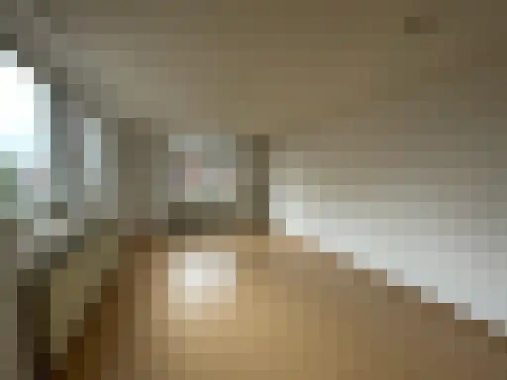 Abdijlaan 50 A Uden thumbnail 4
