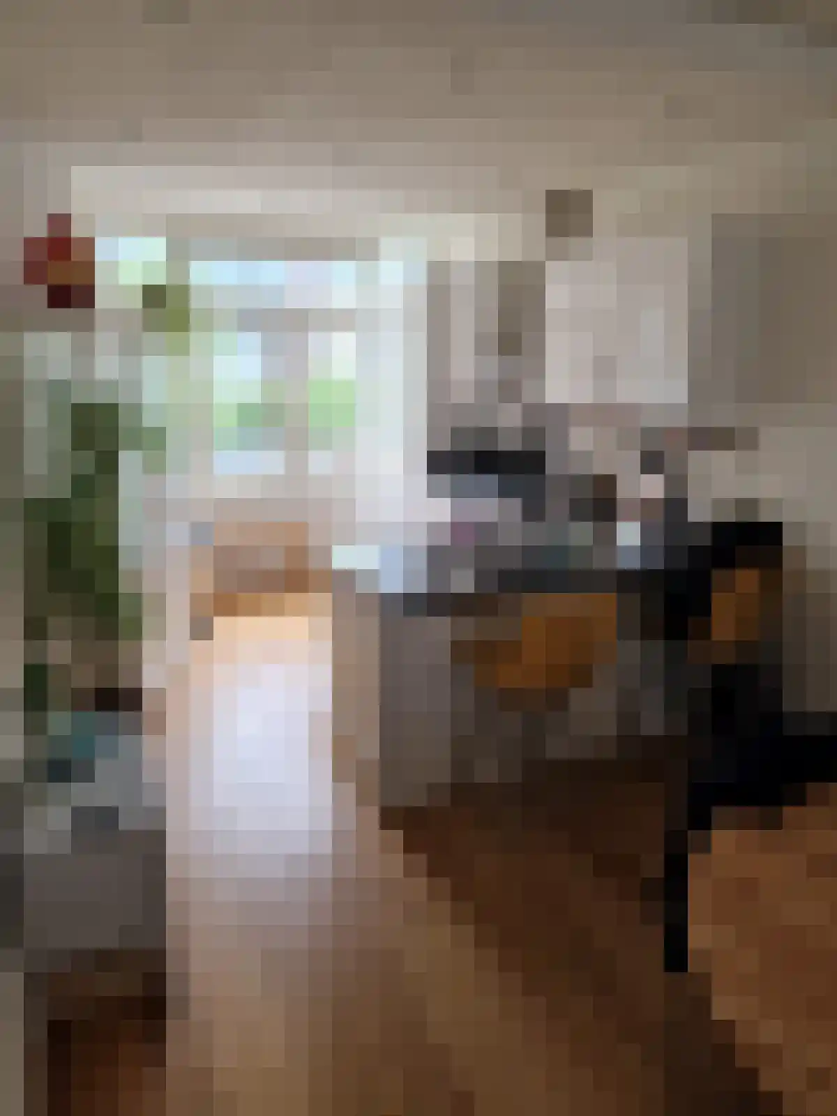 Abdijlaan 50 Uden thumbnail 6