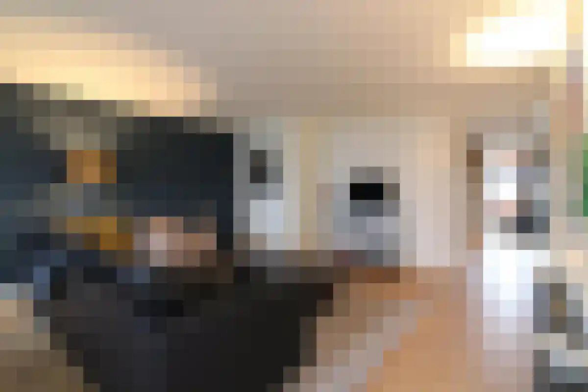 Abdijlaan 51 Uden thumbnail 4