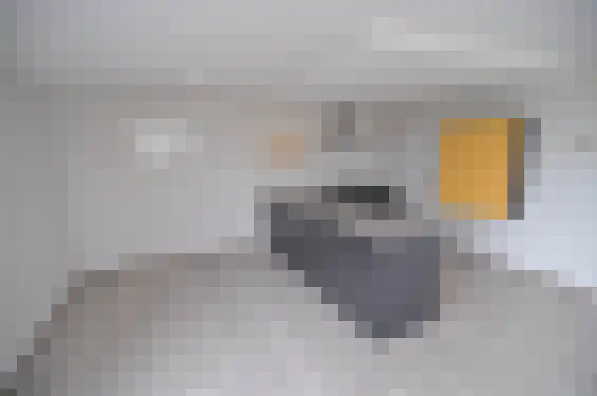 Abdijlaan 51 Uden thumbnail 5