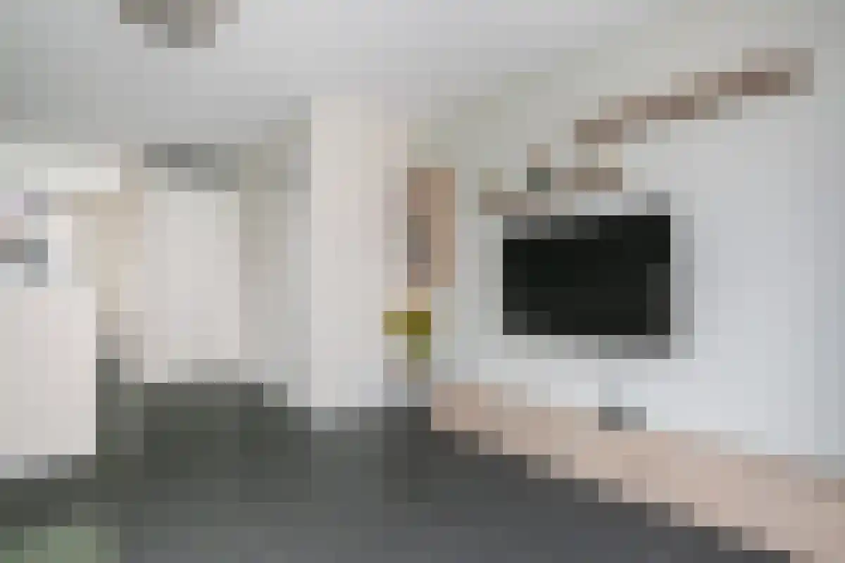 Abdijlaan 51 Uden thumbnail 6