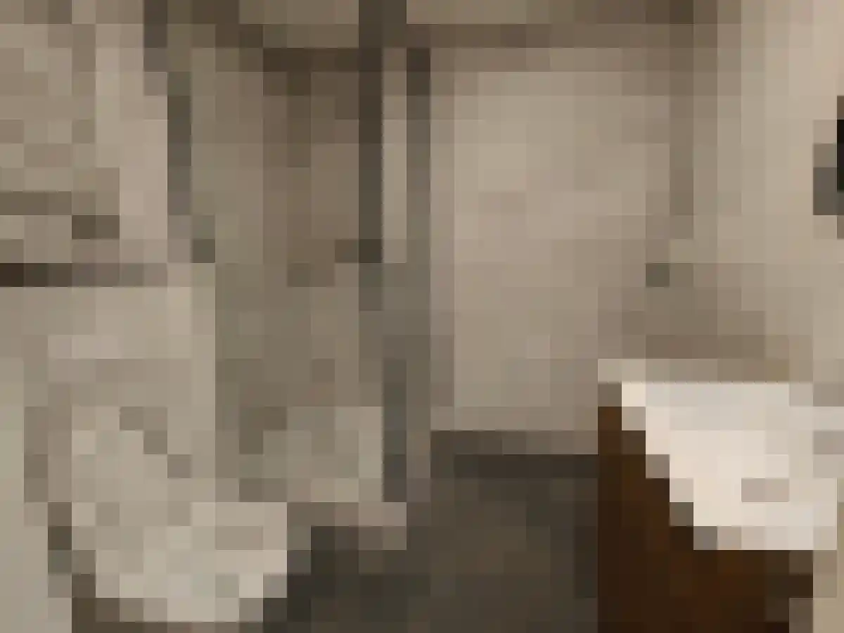Abdijlaan 51 Uden thumbnail 6