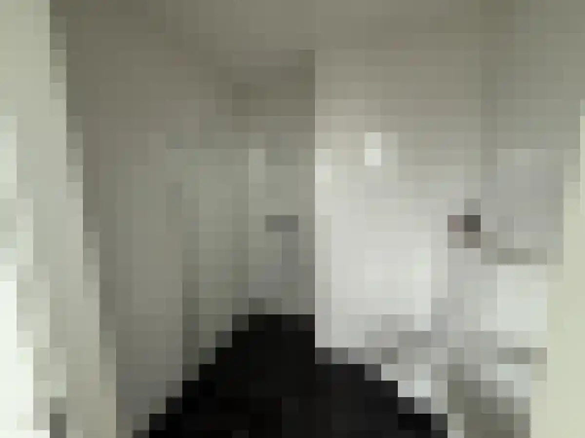 Abdijlaan 519 Uden thumbnail 4