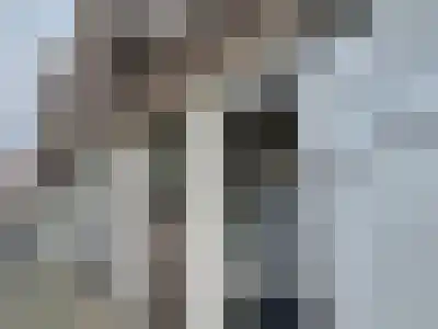 Abdijlaan 52 C Uden thumbnail 44