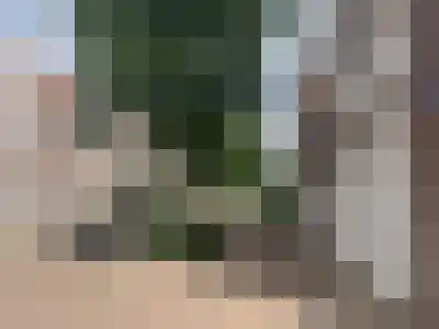 Abdijlaan 52 C Uden thumbnail 59