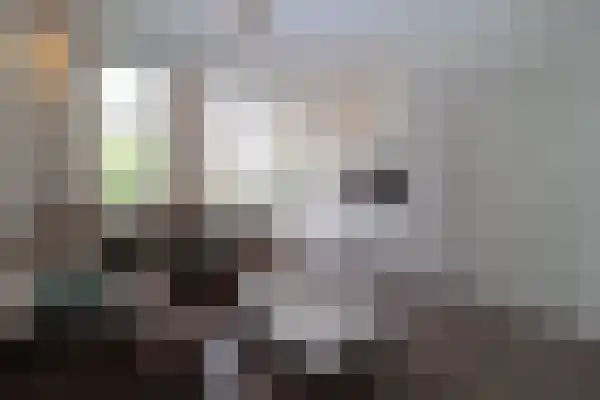 Abdijlaan 53 B Uden thumbnail 61