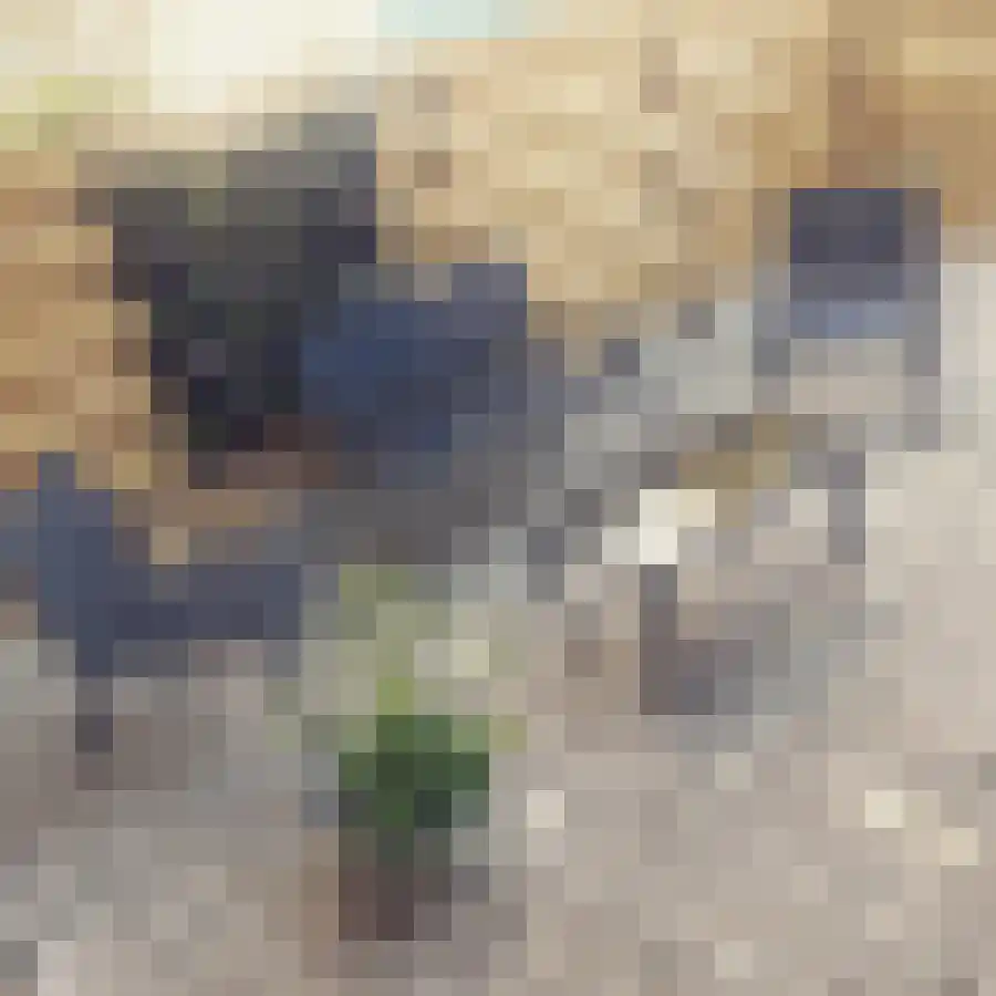 Abdijlaan 53 Uden thumbnail 4