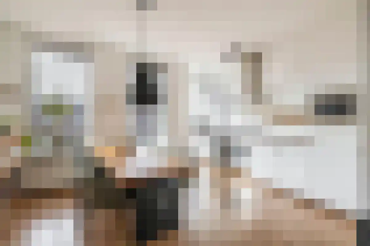 Abdijlaan 54 Uden thumbnail 6