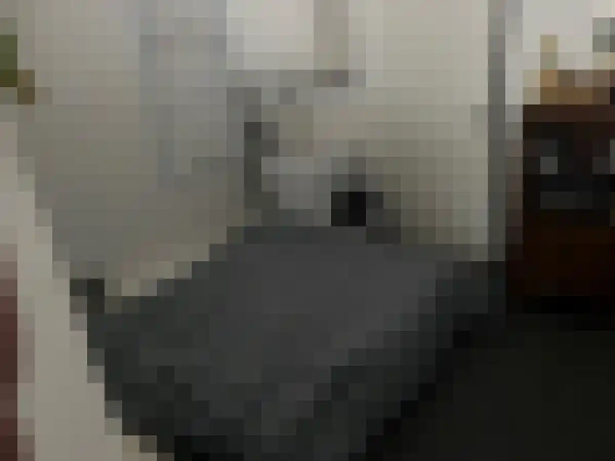 Abdijlaan 54 Uden thumbnail 6