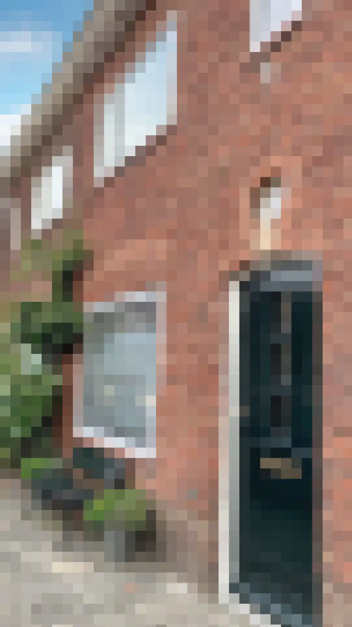 Abdijlaan in Uden