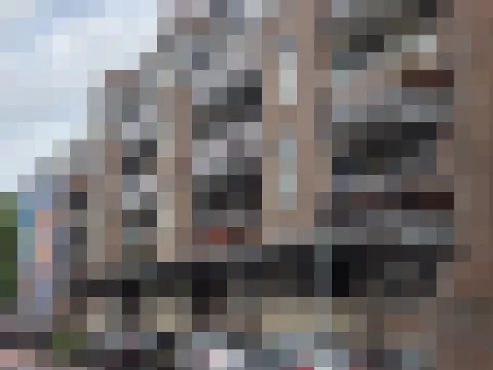 Abdijlaan in Uden