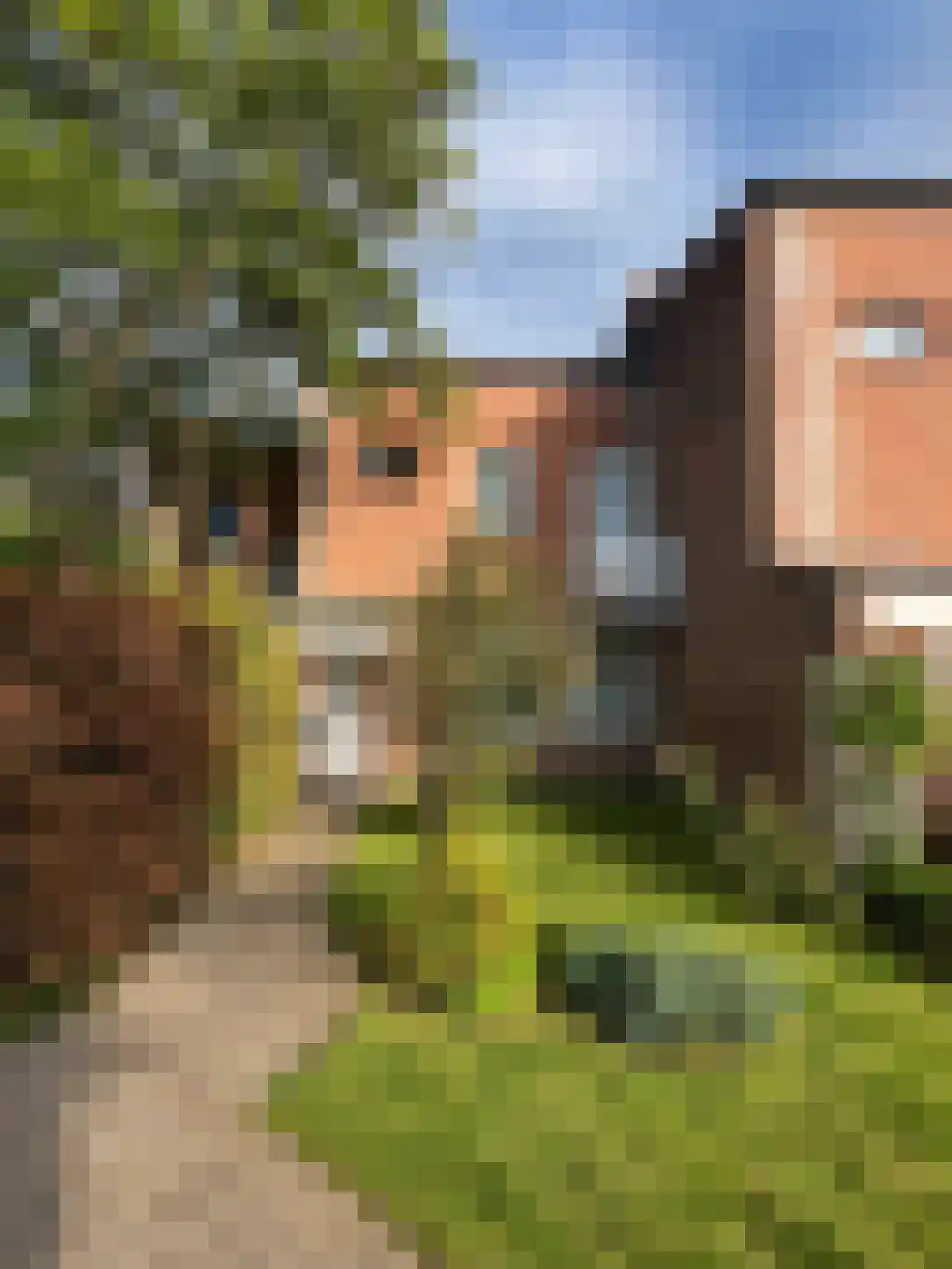 Abdijlaan in Uden