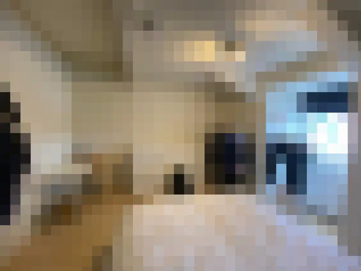Abdijlaan in Uden
