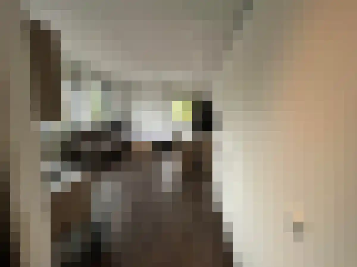 Abdijlaan 55 Uden thumbnail 4