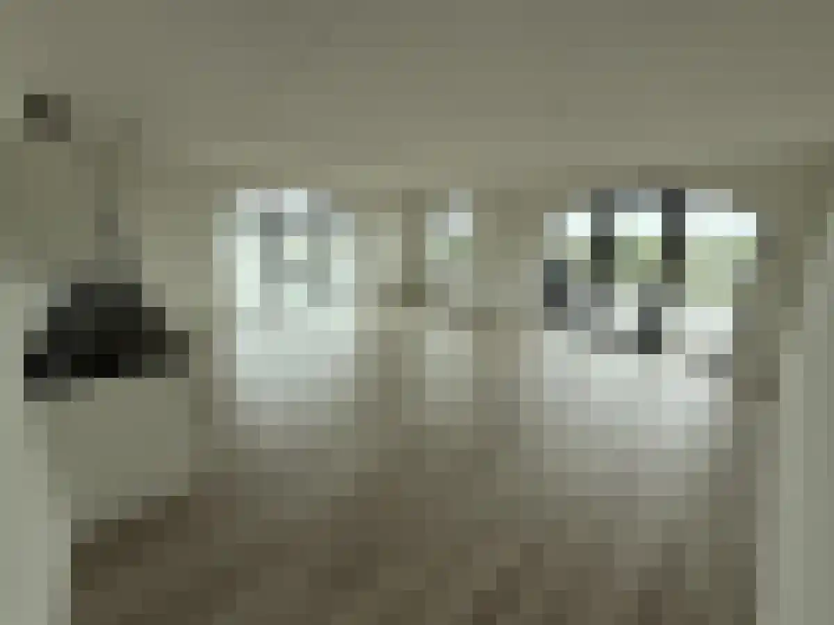 Abdijlaan 55 Uden thumbnail 4