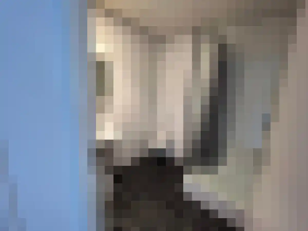 Abdijlaan 55 Uden thumbnail 5