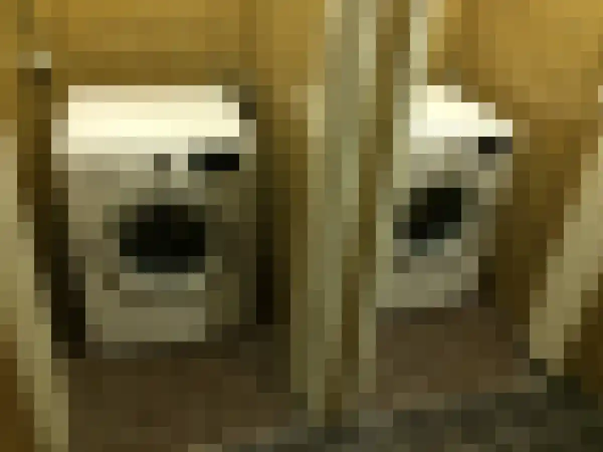 Abdijlaan 55 Uden thumbnail 5