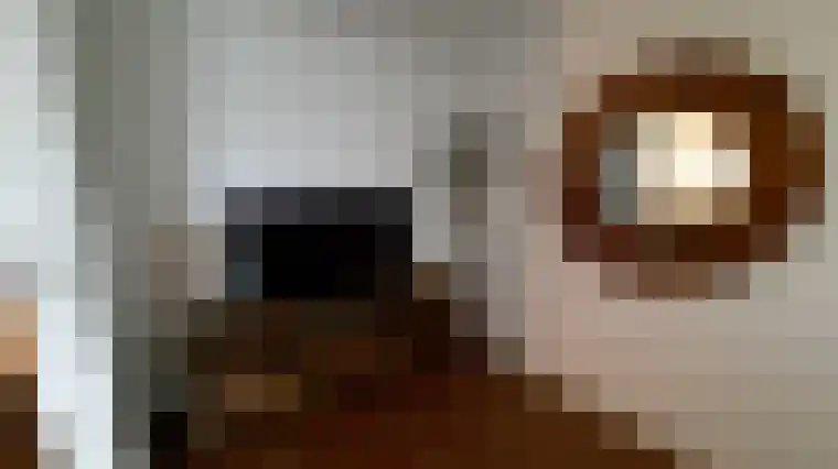 Abdijlaan 56 E Uden thumbnail 6