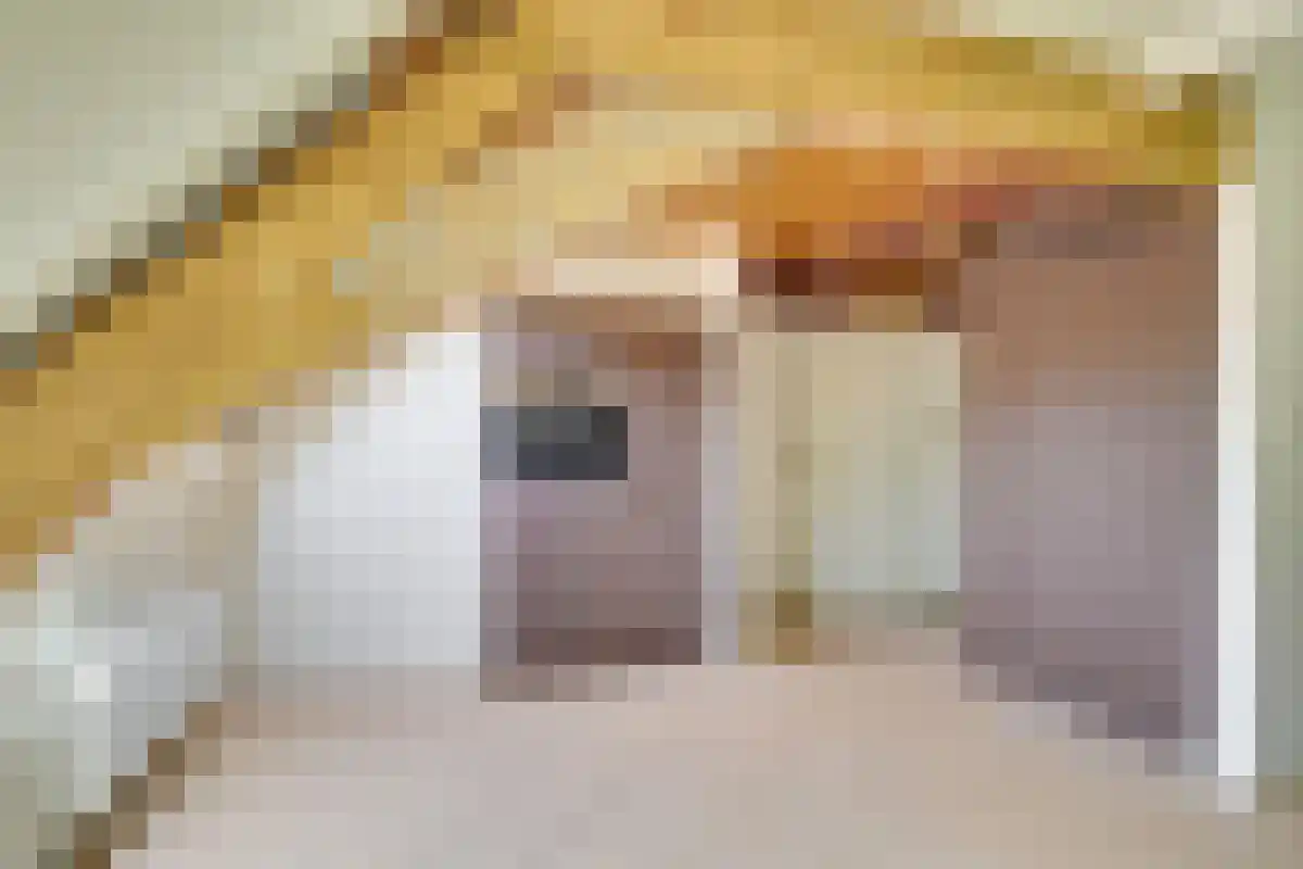 Abdijlaan 56 E Uden thumbnail 6