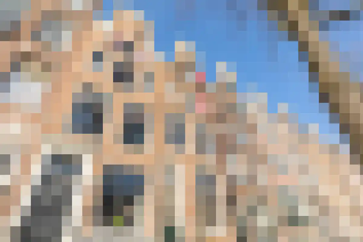 Abdijlaan 56 Uden thumbnail 4